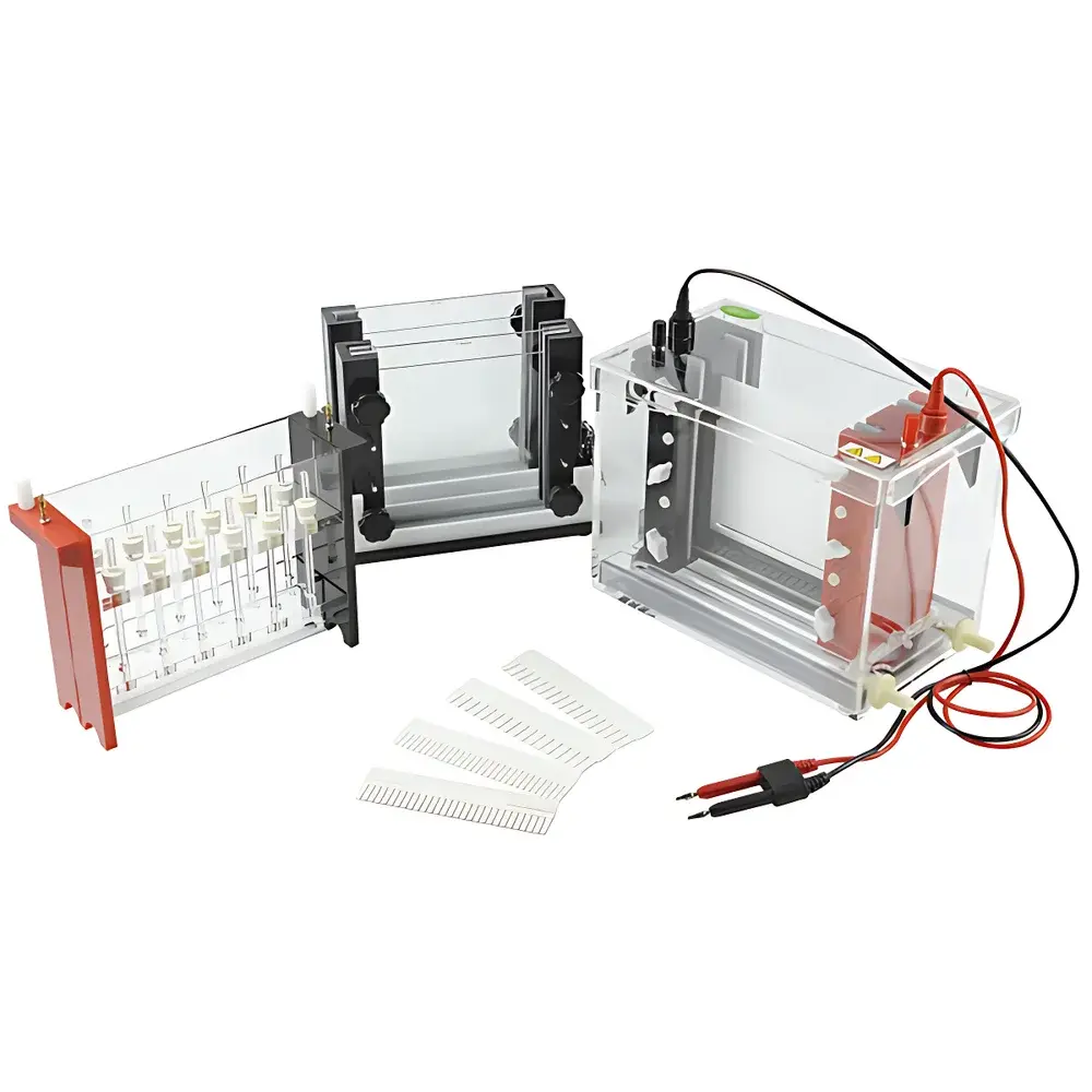 Junyi JY-SX3 Dual-Dimensional Electrophoresis Tank