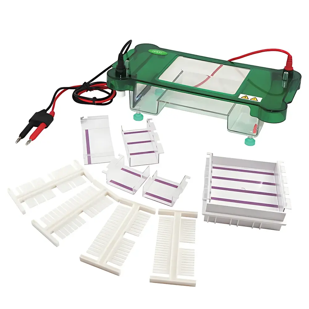 Junyi JY-SPCT Horizontal Electrophoresis Chamber