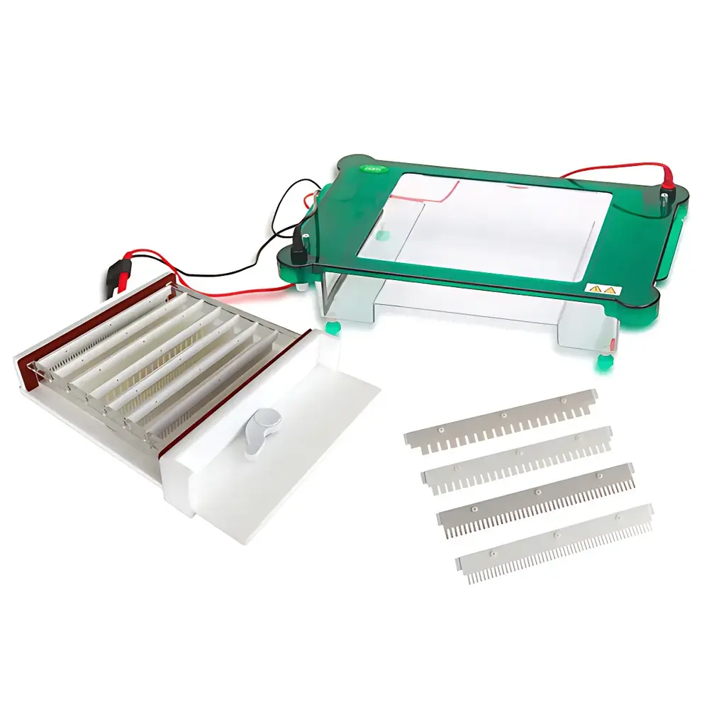 Junyi JY-SPHT Horizontal Electrophoresis Chamber