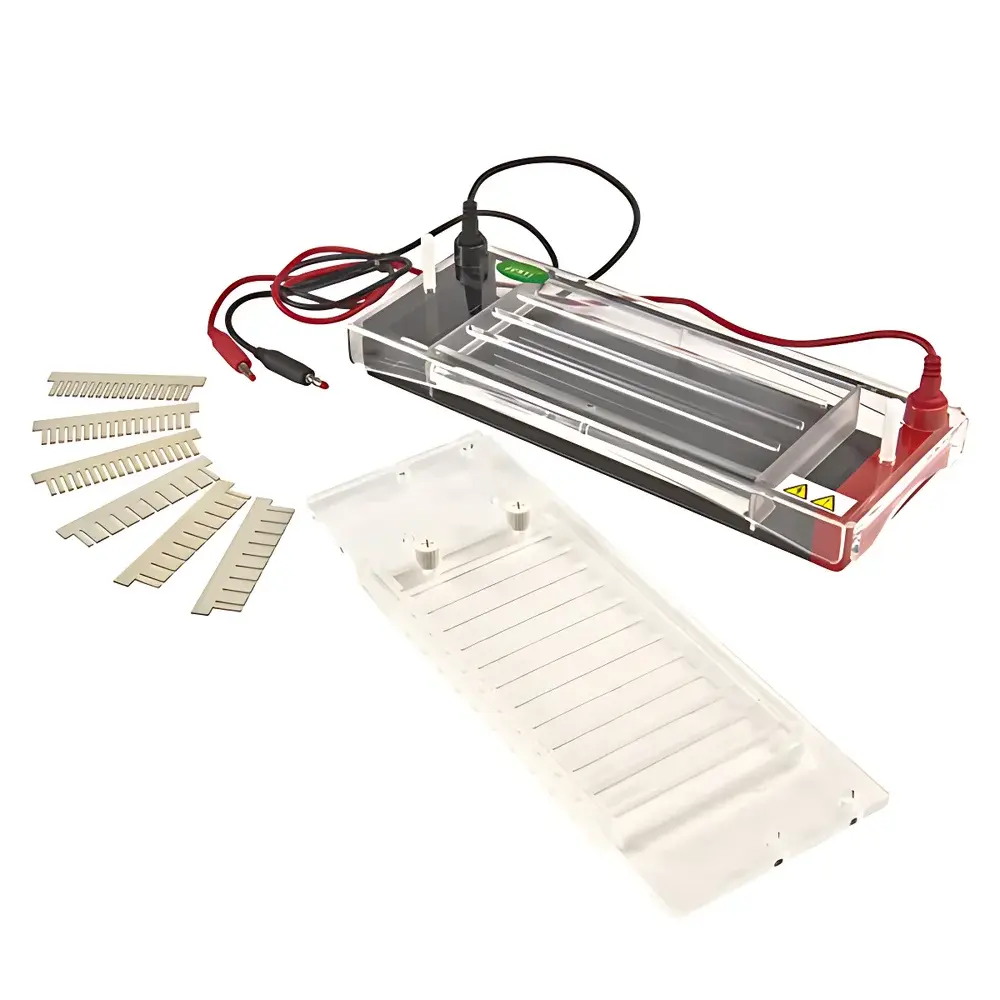 Junyi JY-SP3 High-Throughput Horizontal Electrophoresis System