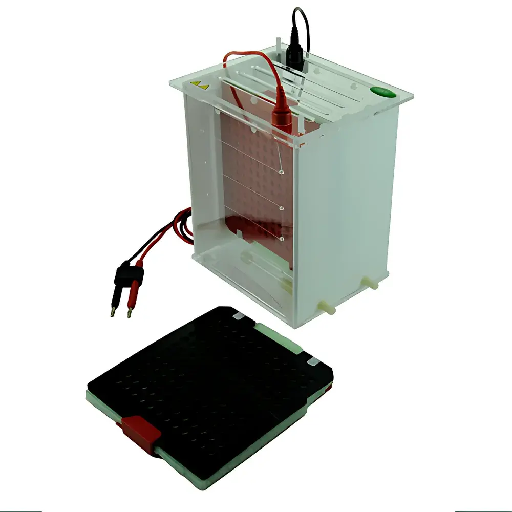 Junyi JY-ZY2 Semi-Dry Electrophoretic Transfer Tank