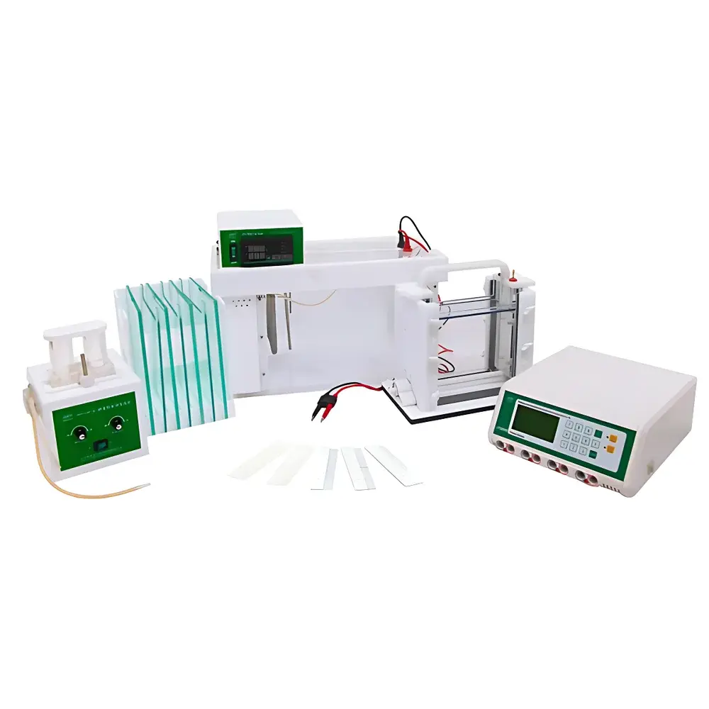 Junyi JY-TD331A Denaturing Gradient Gel Electrophoresis (DGGE) System