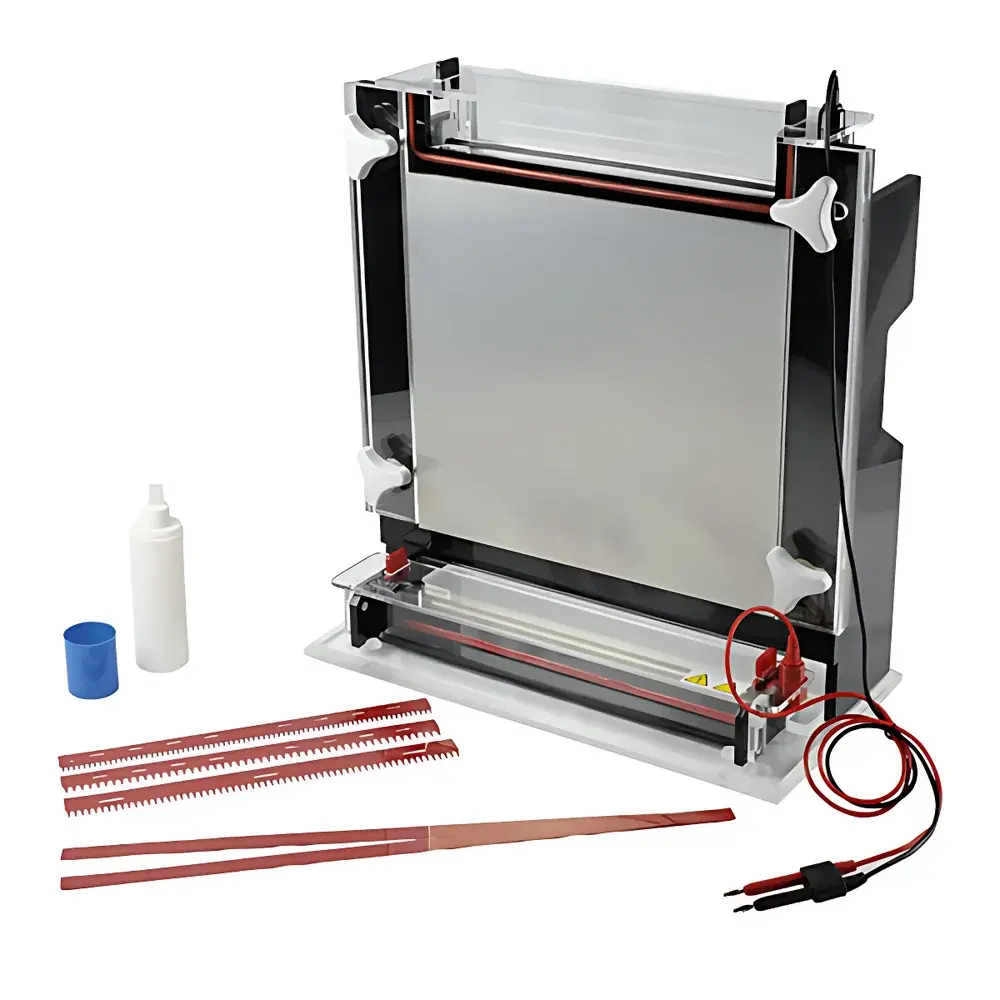 Junyi JY-CX2B Horizontal DNA Sequencing Electrophoresis Tank
