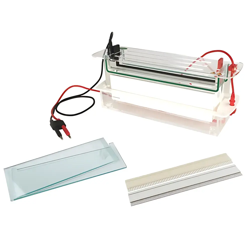 Junyi JY-SCZF Vertical Electrophoresis Tank