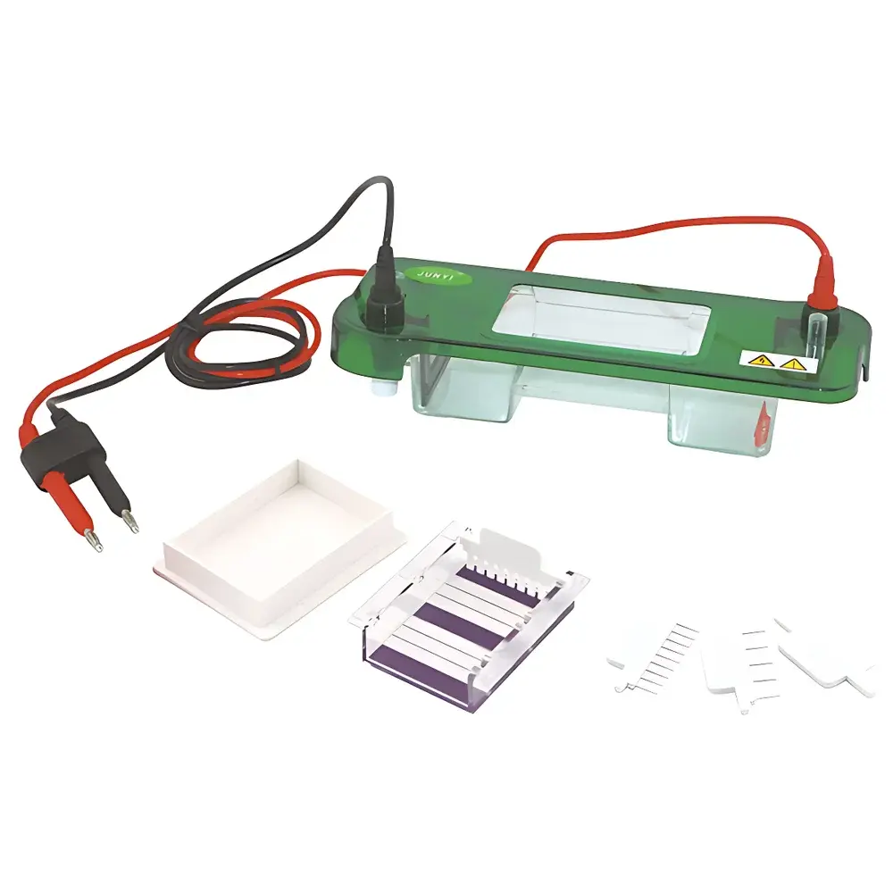 Junyi JY-SPAT Horizontal Electrophoresis Chamber