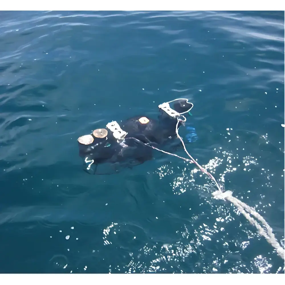 In-situ Marine PAR Quantum Sensor for Underwater Photosynthetic Active Radiation Measurement