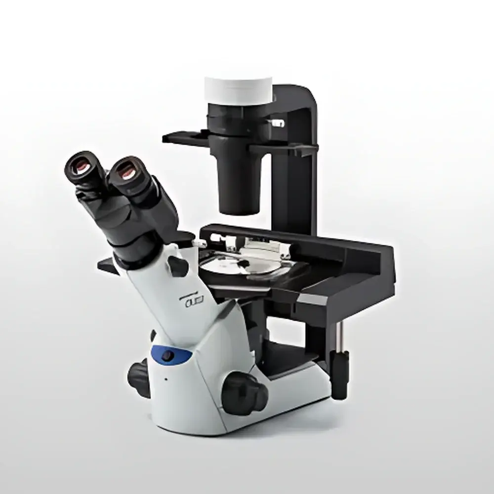 Olympus CKX53 Inverted Microscope