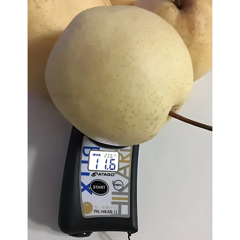 ATAGO PAL-HIKARi 12 Non-Destructive Pear Refractometer