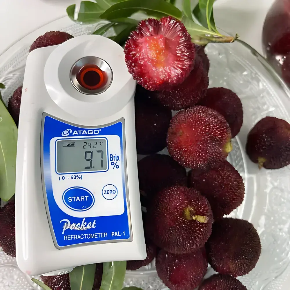 ATAGO PAL-1 Digital Refractometer for Fruit Brix Measurement