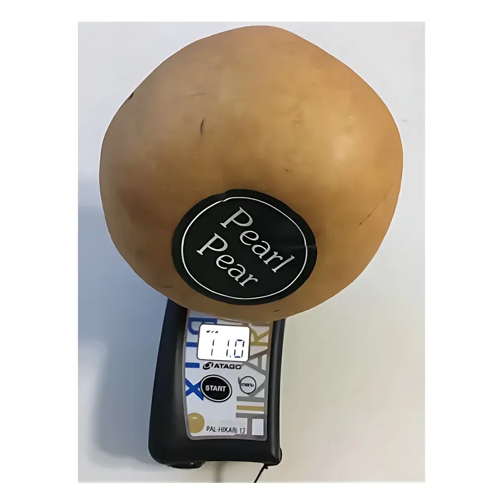 ATAGO PAL-HIKARi 12 Non-Destructive Pear Saccharimeter