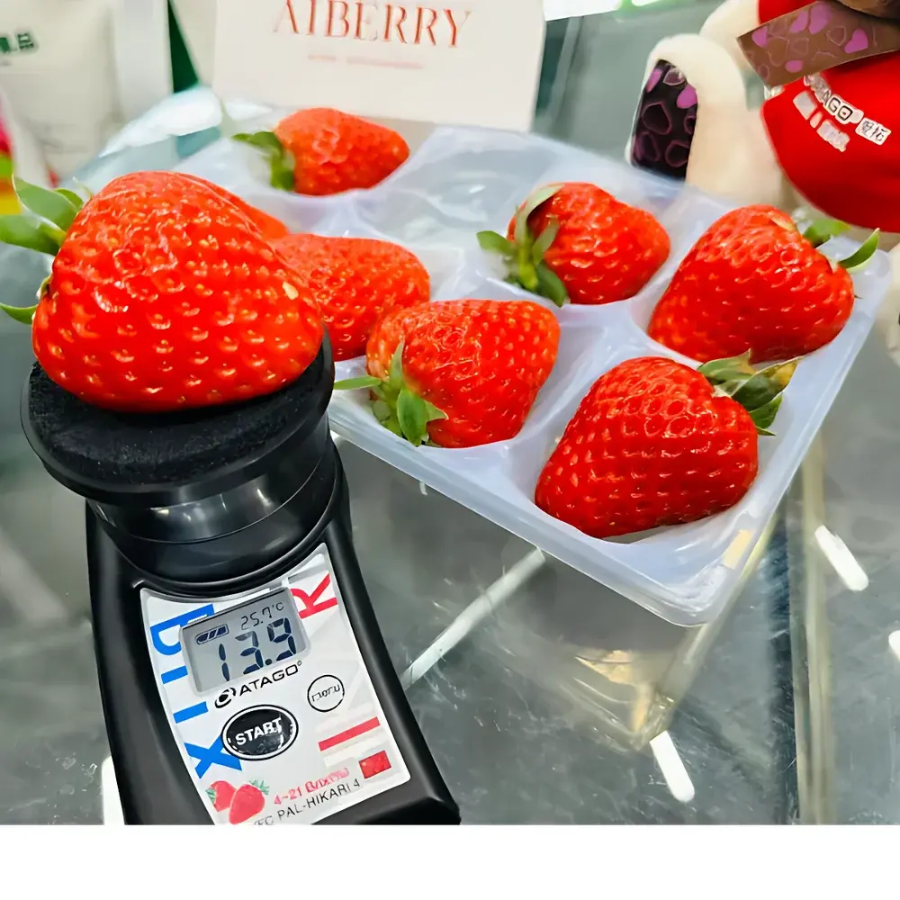 ATAGO PAL-HIKARi 4 Non-Destructive Strawberry Refractometer