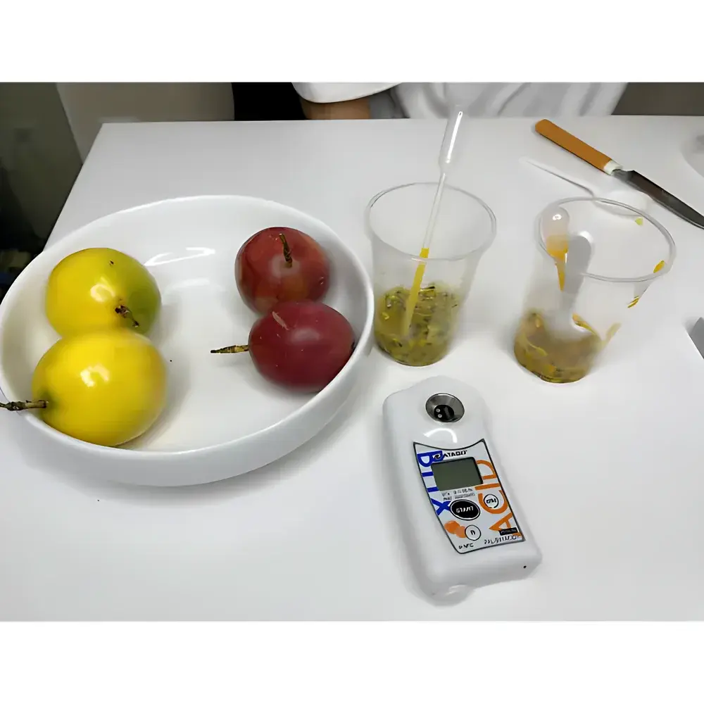 ATAGO PAL-BX/ACID 1 Citrus Sugar-Acid Ratio Meter