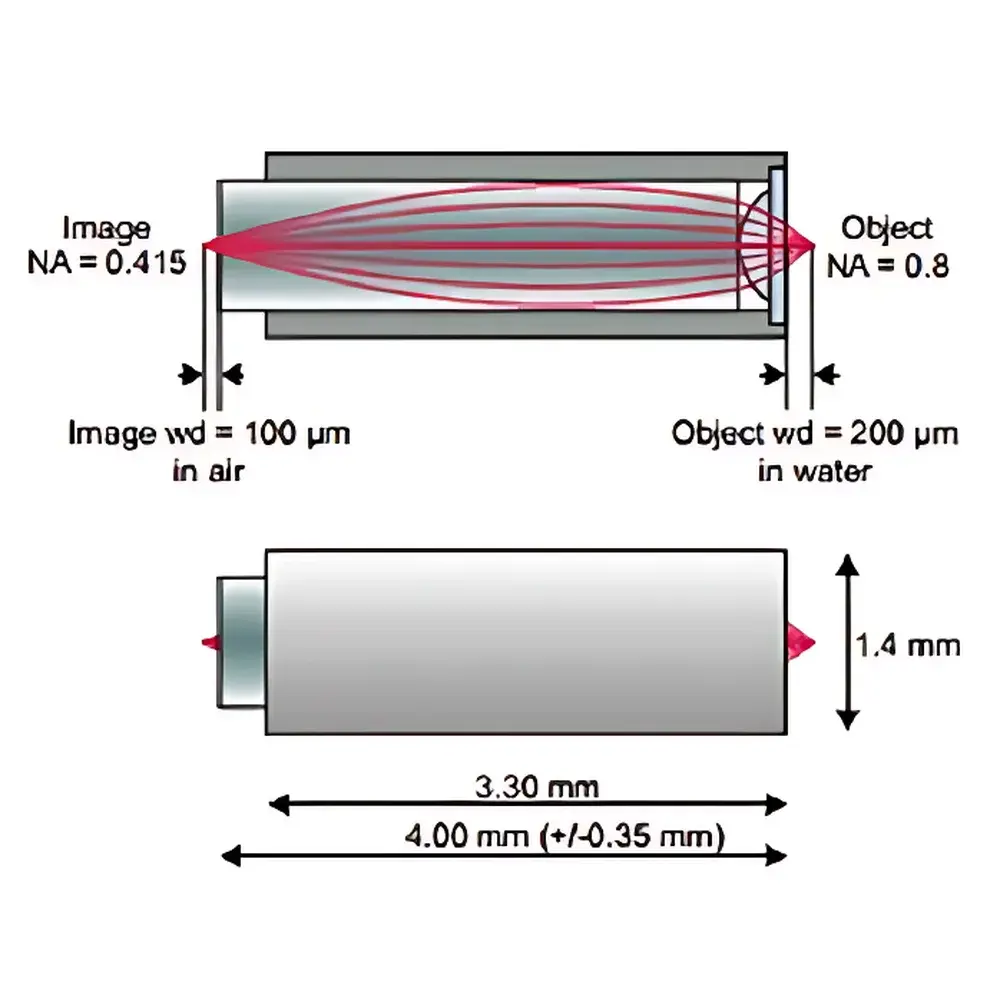 GRINTECH GT-M0-080-018-810 & GT-M0-080-0415-810 High-NA GRIN Lens Objective for Two-Photon Microendoscopy