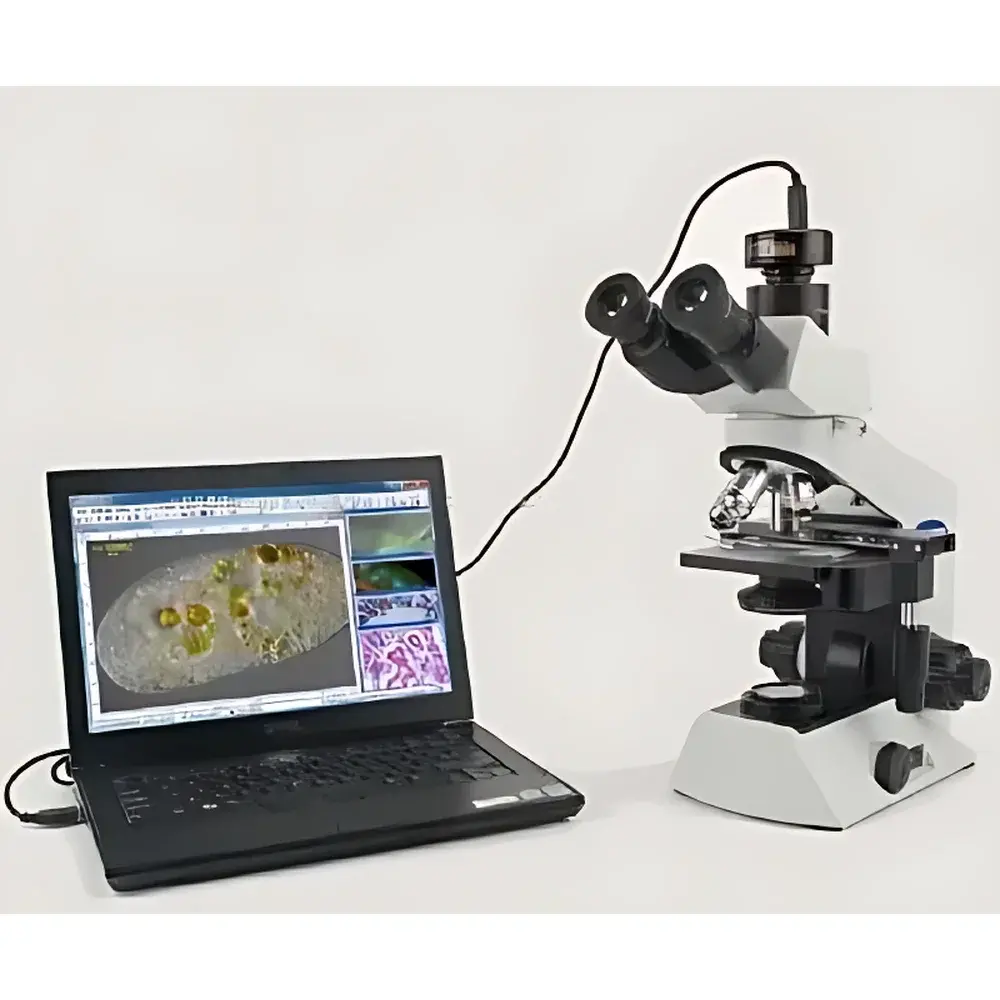 OLYMPUS CX21 Biological Microscope