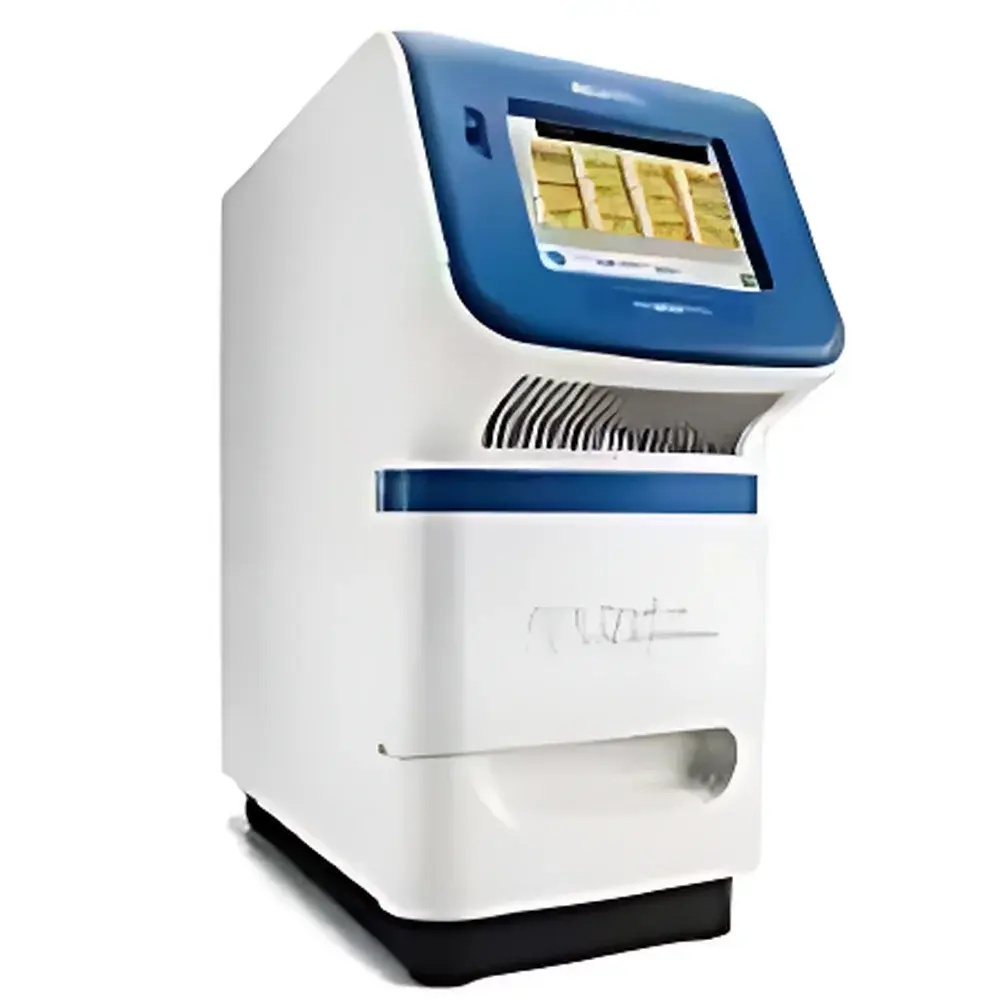 Thermo Fisher StepOne™ Real-Time PCR System