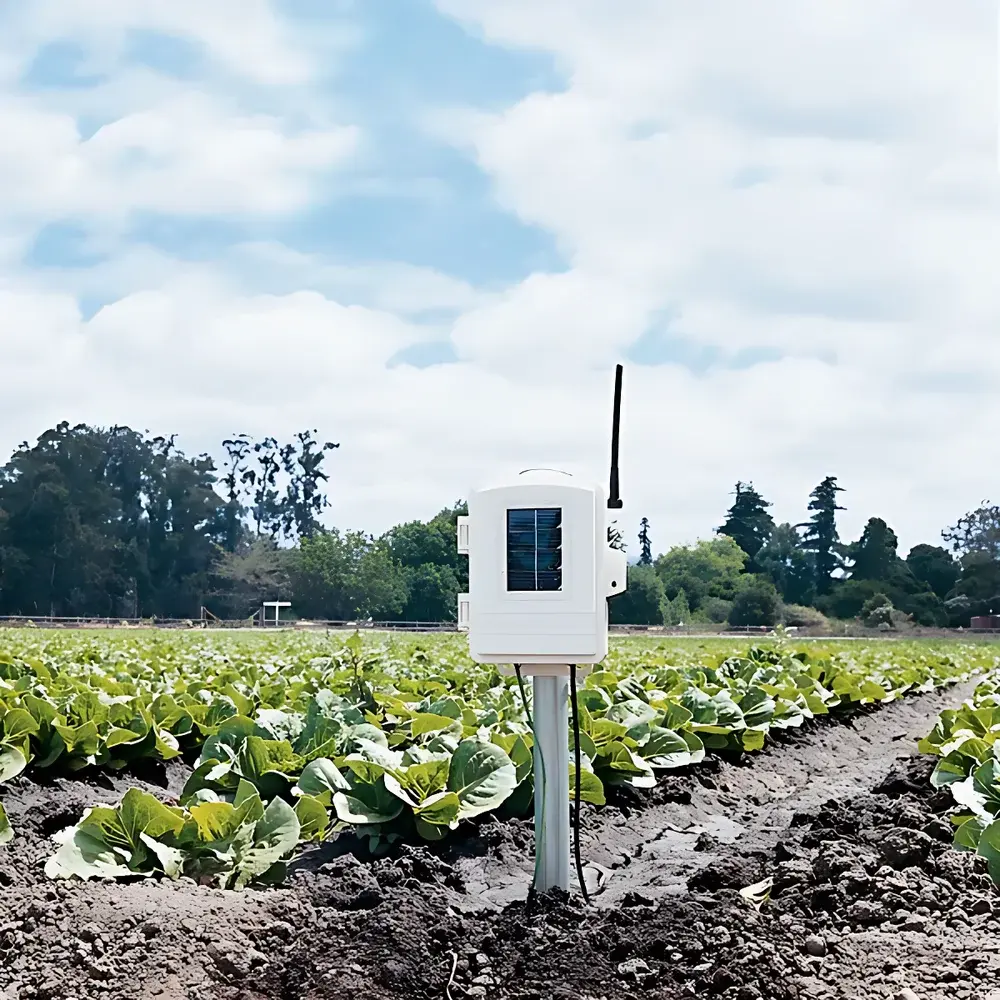 Davis 6345 Wireless Soil Temperature and Humidity Monitoring Station