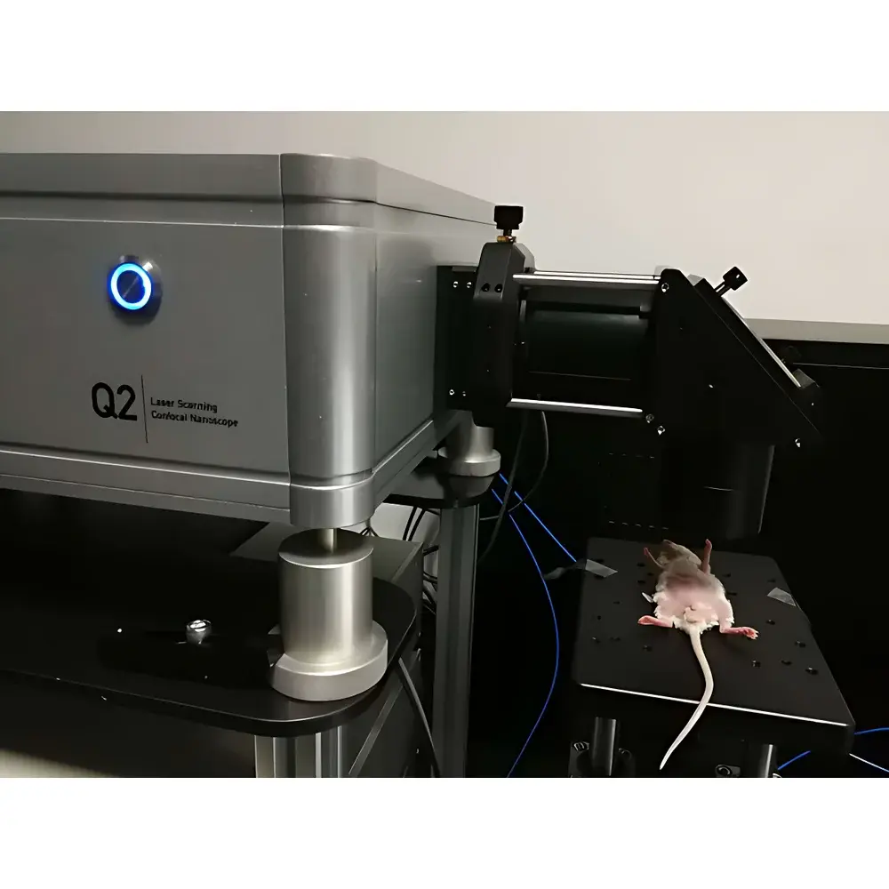 Orient KOJI i-NIR-II Time-Resolved Small Animal In Vivo Fluorescence Imaging System