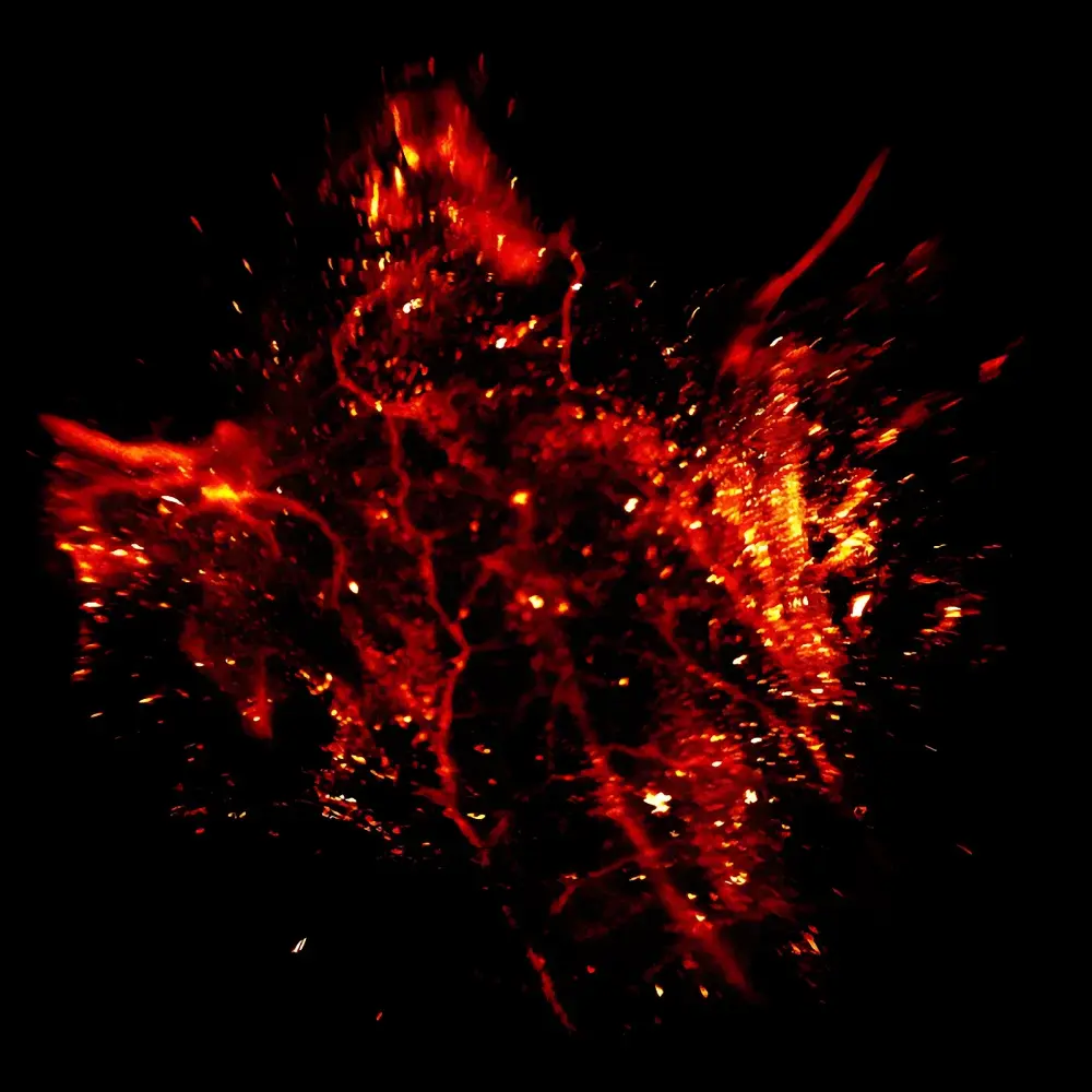 Orient KOJI i-NIR-II Time-Resolved Small Animal In Vivo Fluorescence Imaging System