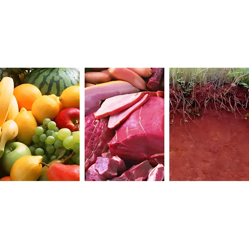 CLEAN PH30P Soil pH Meter