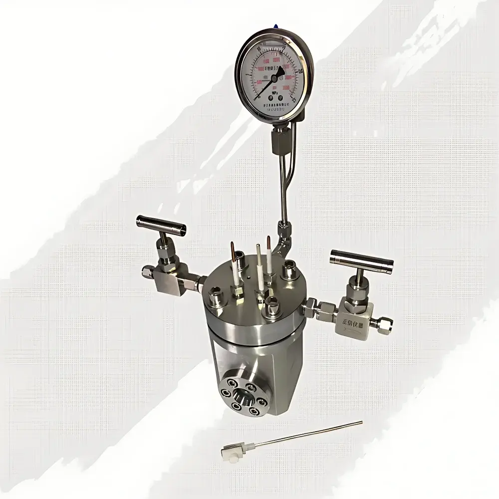 EYK Electrode-Integrated Stainless Steel High-Pressure Reaction Vessel
