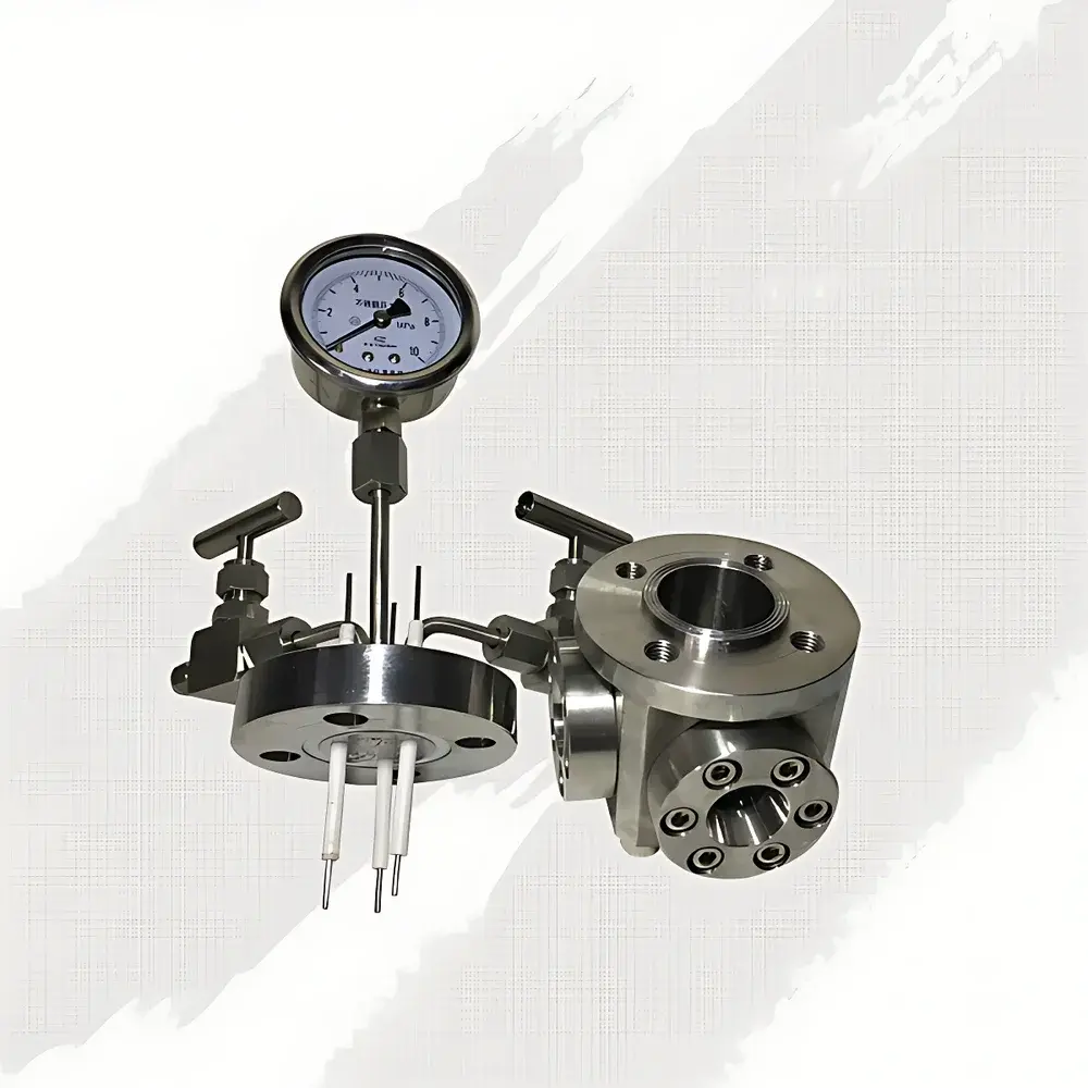 EYK Electrode-Integrated Stainless Steel High-Pressure Reaction Vessel