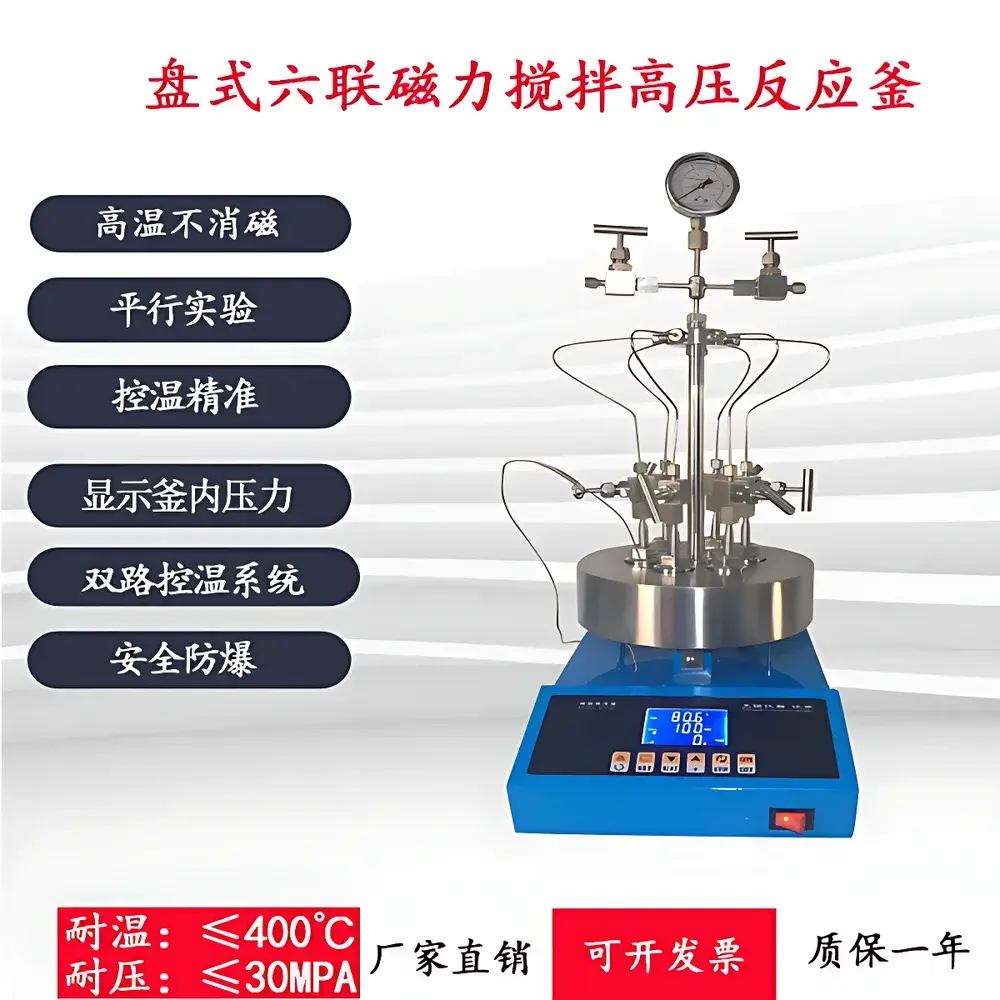 Six-Position Parallel Magnetic Stirring High-Pressure Reactor PSK-6 by ZXYIQI
