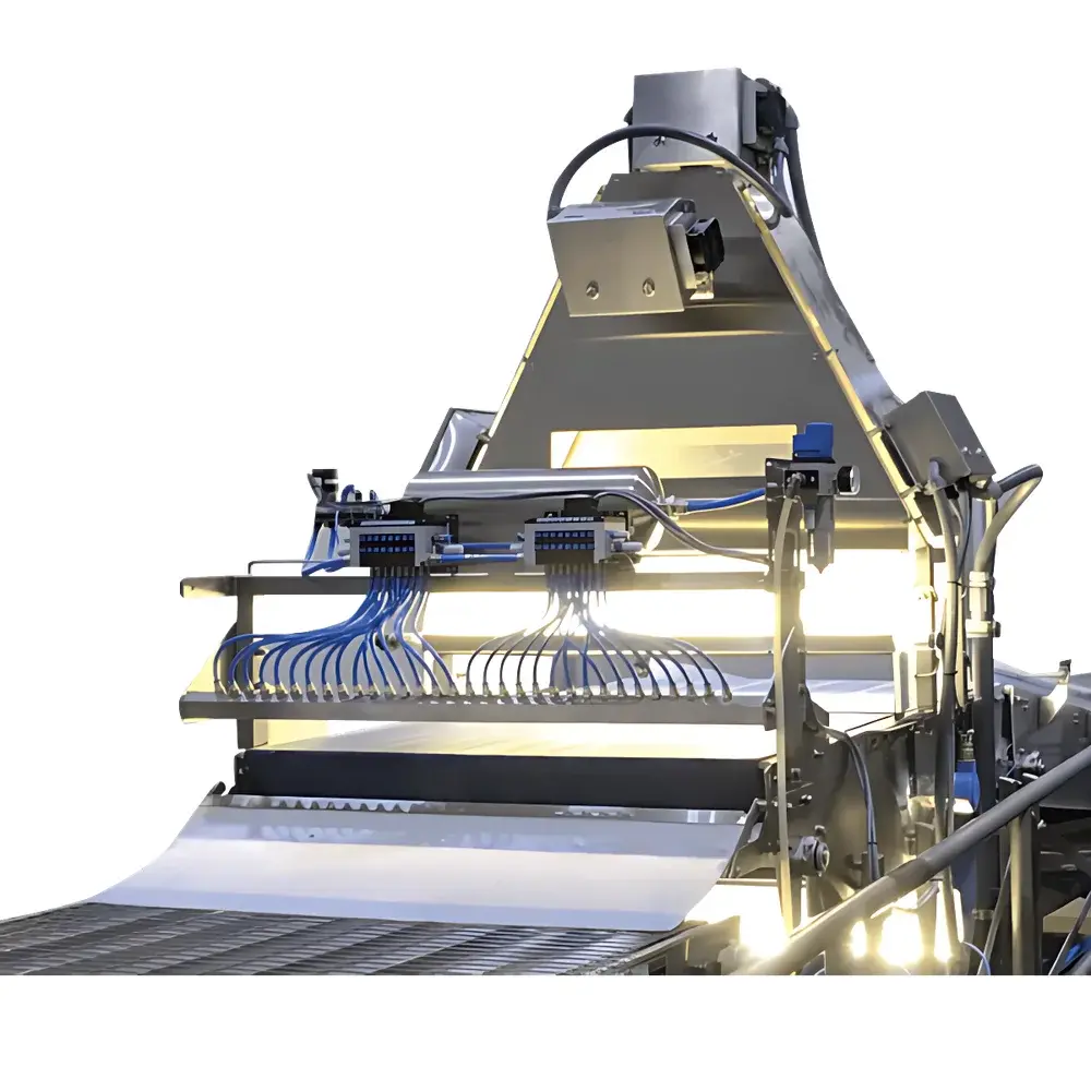 KPM Sightline IL Series In-Line Vision Inspection System for Bakery, Meat, Poultry, Cheese, Eggs, Fruits, Vegetables & Prepared Foods
