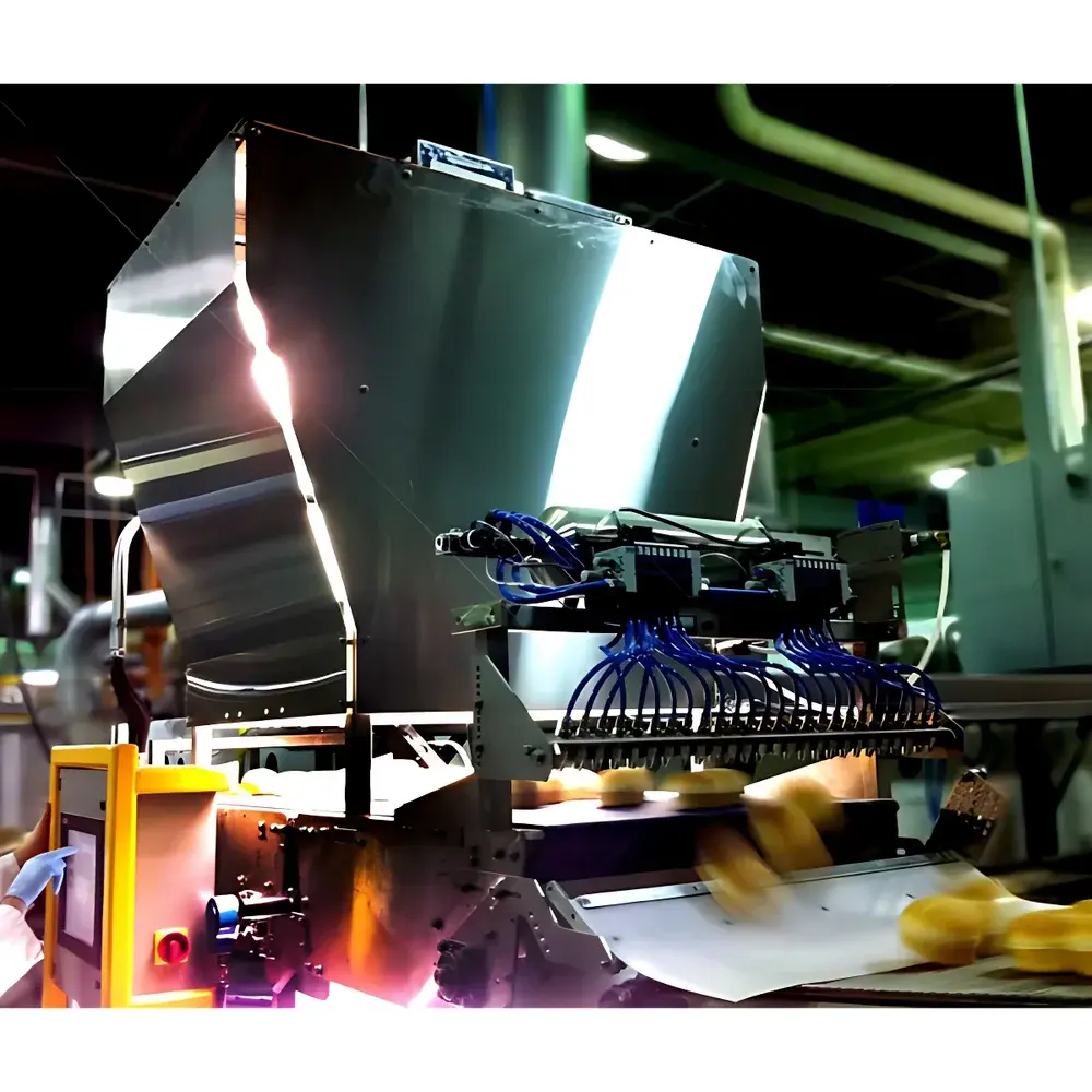 KPM Sightline IL Series In-Line Vision Inspection System for Bakery, Meat, Poultry, Cheese, Eggs, Fruits, Vegetables & Prepared Foods