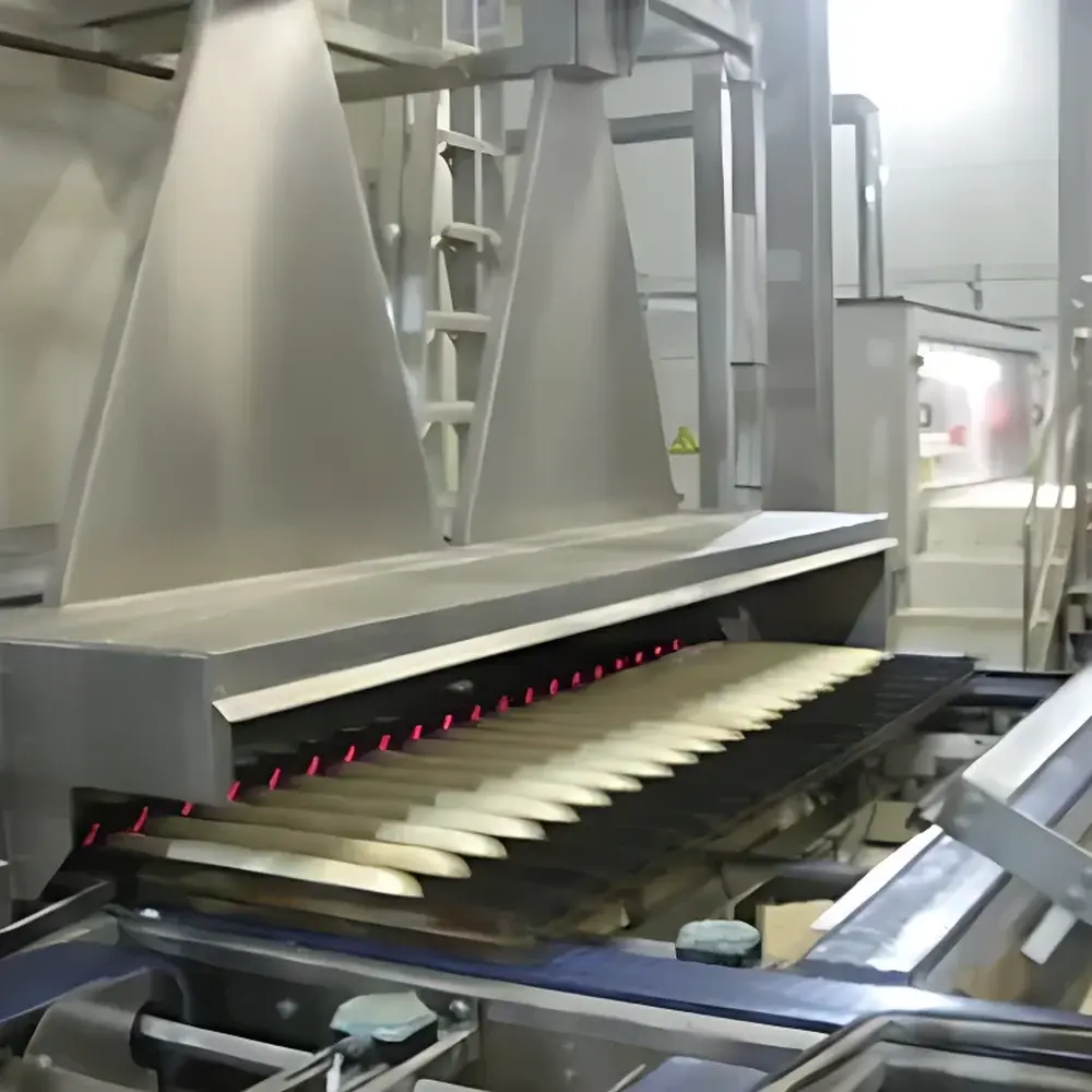 KPM EyePro Q-bake Online Vision Inspection System for Bakery & Snack Production