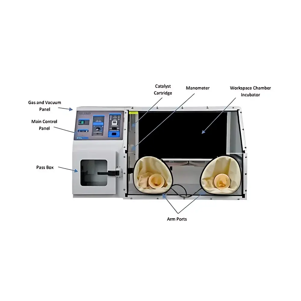 Bactron EZ-2 Anaerobic Incubator