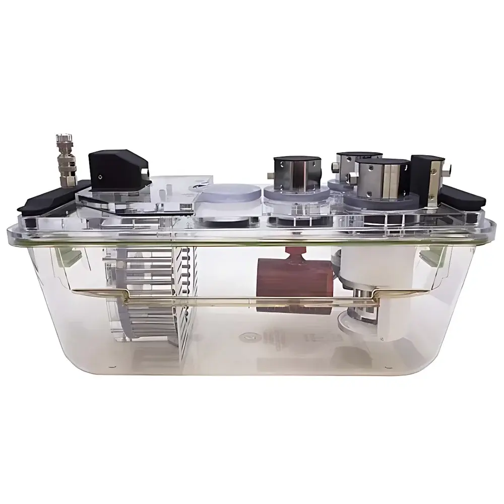 TSE PhenoMaster_H Advanced Metabolic Caging System