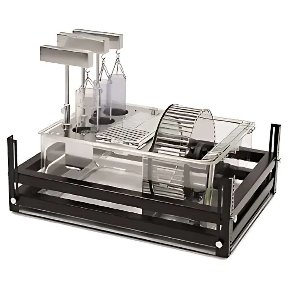 TSE PhenoMaster Animal Metabolism Measurement and Phenotyping System