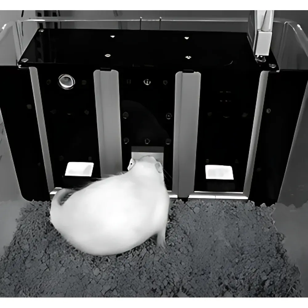TSE Systems Operant Wall Modular Behavioral Learning System