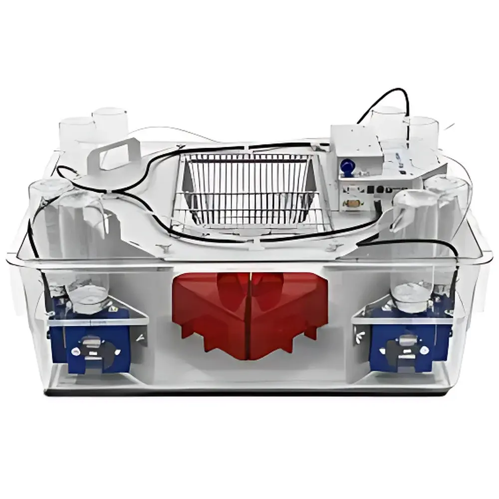 TSE Systems IntelliCage by NewBehavior – Automated Social Housing Cognitive Monitoring System for Group-Housed Mice