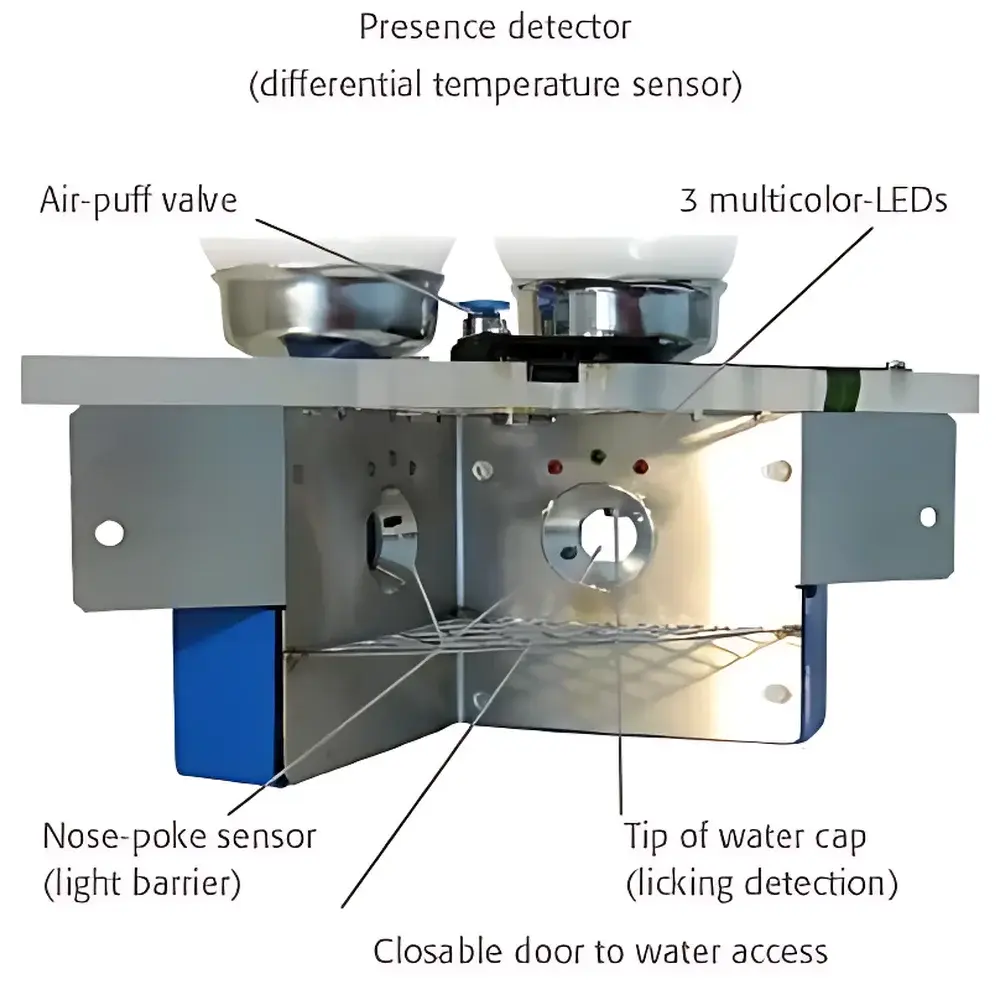 TSE Systems IntelliCage by NewBehavior – Automated Social Housing Cognitive Monitoring System for Group-Housed Mice