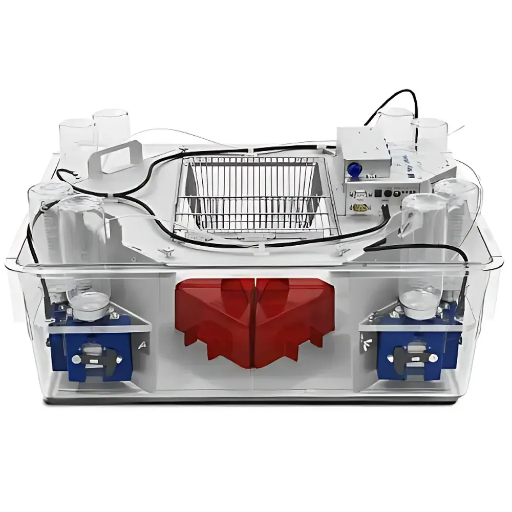 TSE Systems IntelliCage by NewBehavior – Automated Social Housing Cognitive Monitoring System for Group-Housed Mice