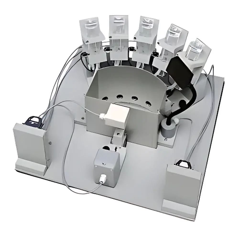 TSE Systems 5-Hole-Box System for Rodent Attention and Impulse Control Assessment