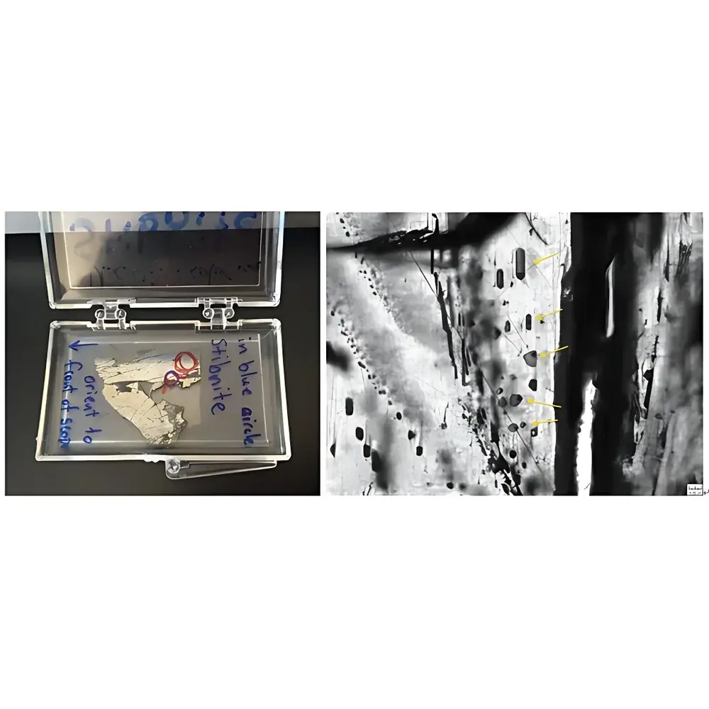 Olympus BX53-IR Infrared Microscope System