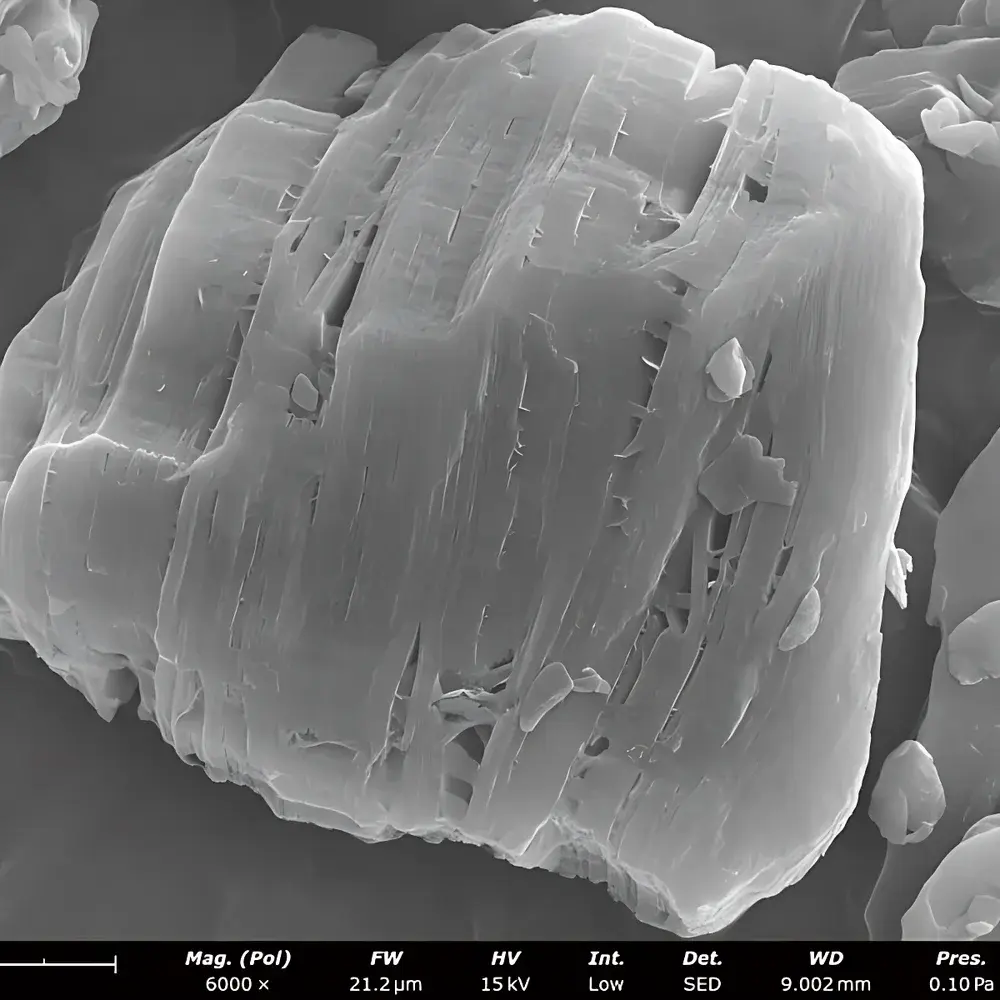 Phenom ProX Desktop Scanning Electron Microscope with Integrated EDS
