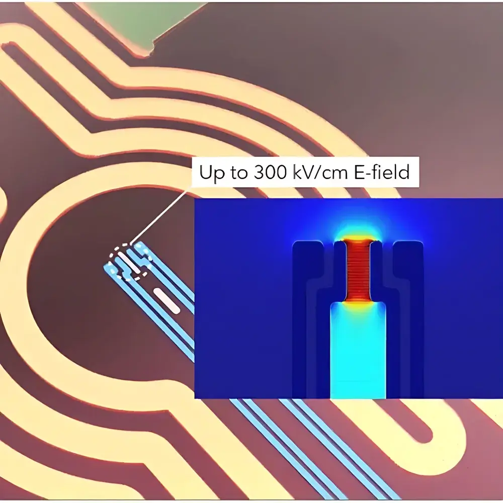 DENSsolutions Lightning In Situ TEM Heating & Electrical Biasing System