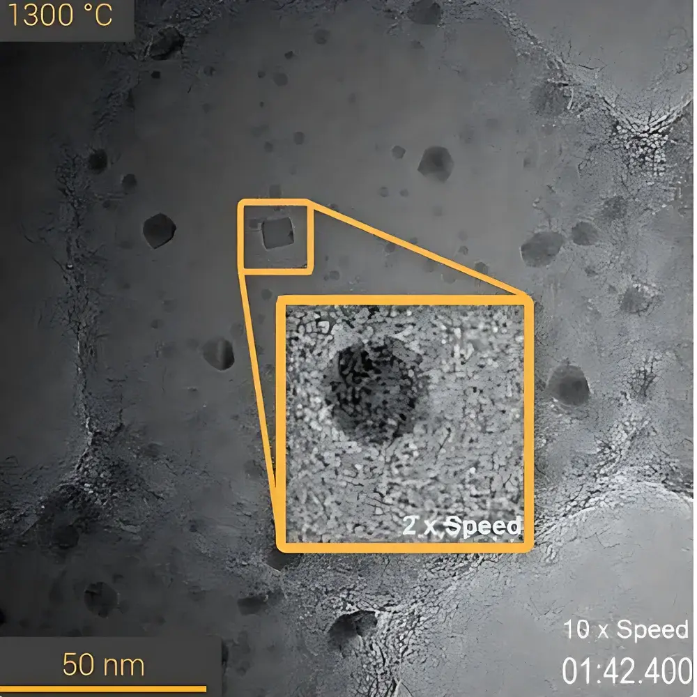DENSsolutions Wildfire In Situ Heating TEM Holder