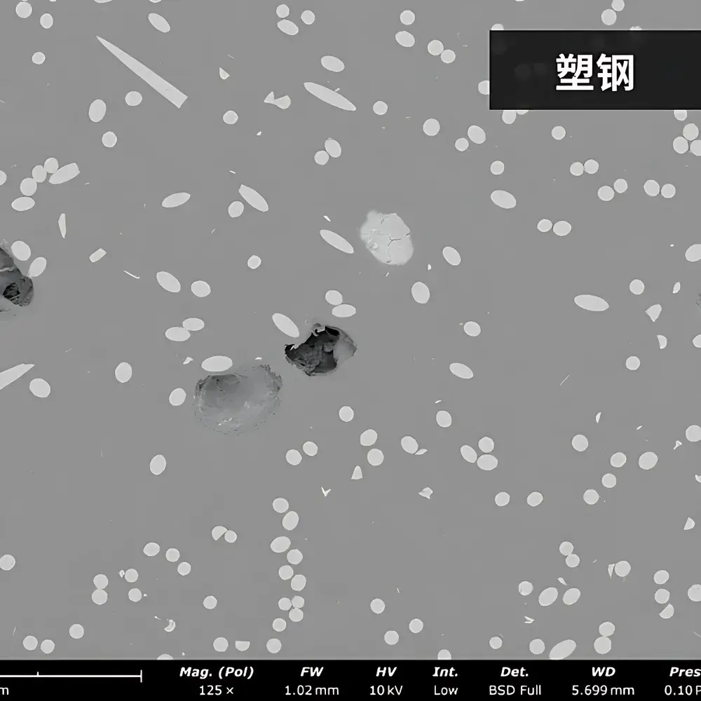 Phenom Pure Desktop Scanning Electron Microscope
