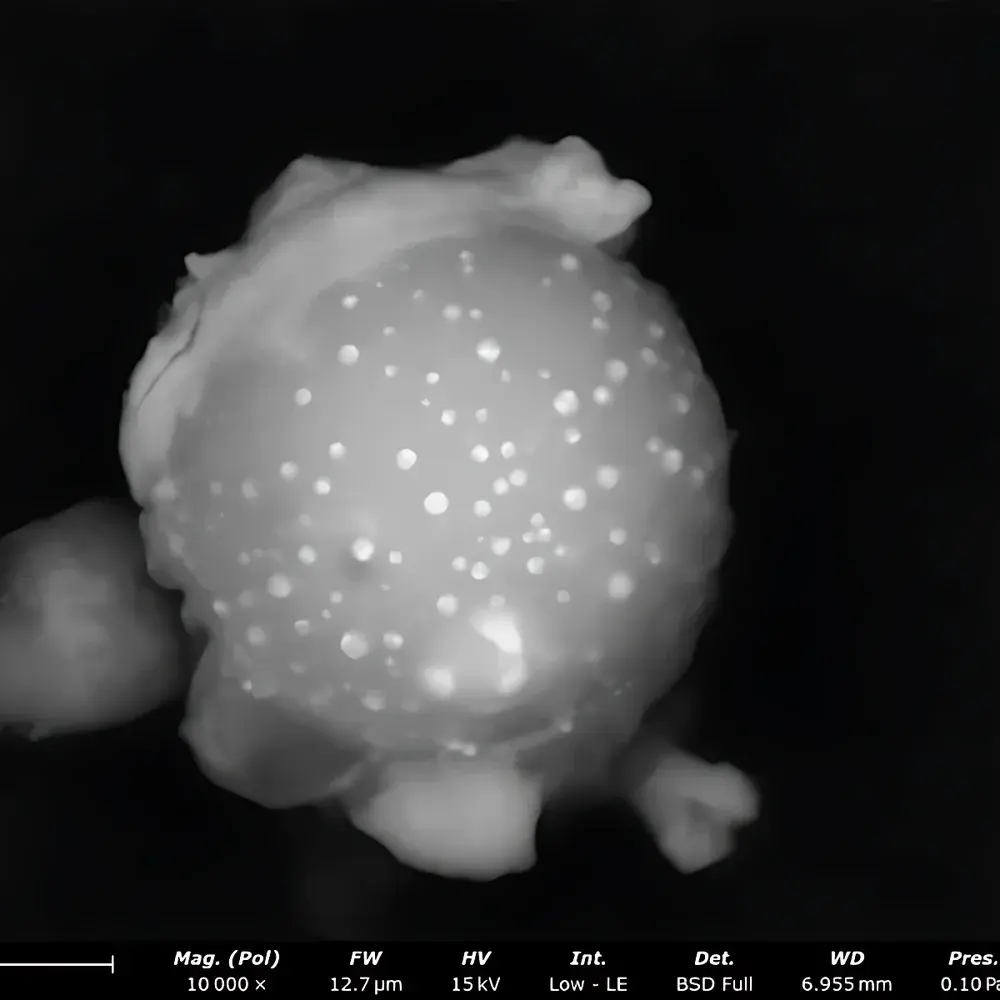 Phenom GSR Desktop Scanning Electron Microscope for Automated Gunshot Residue Analysis