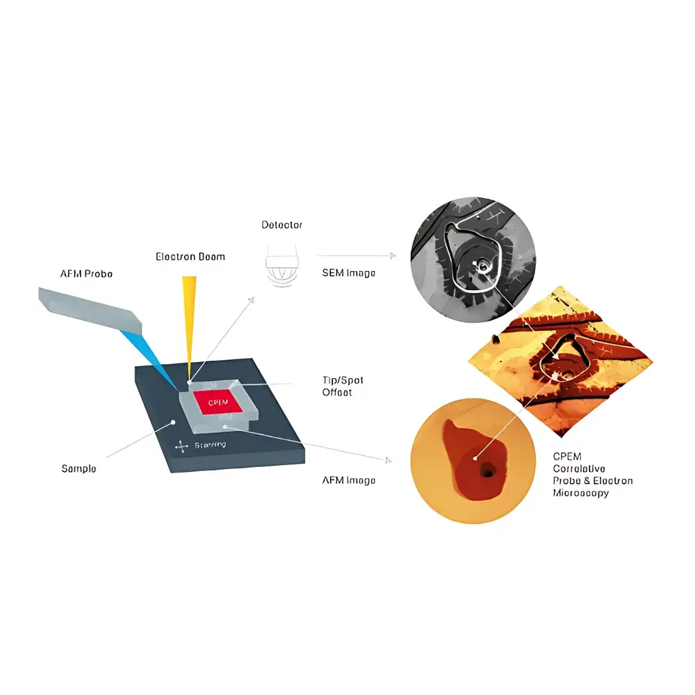 Phenom AFM-SEM Integrated Atomic Force and Scanning Electron Microscope