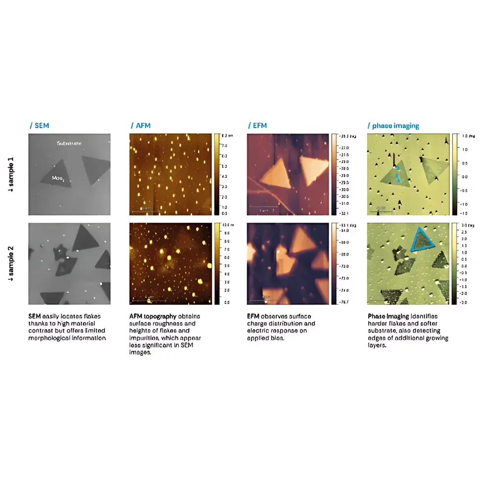 Phenom AFM-SEM Integrated Atomic Force and Scanning Electron Microscope