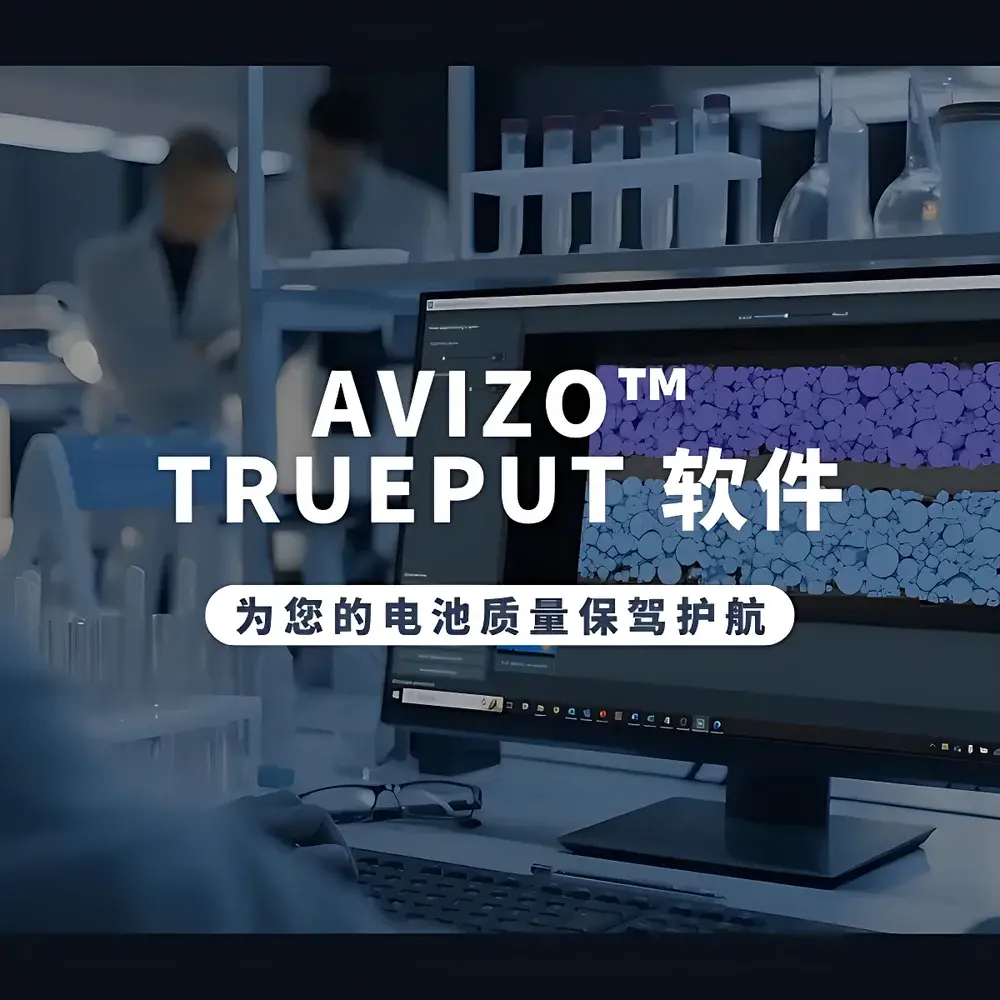 Phenom Avizo Trueput Battery Quality Analysis Software
