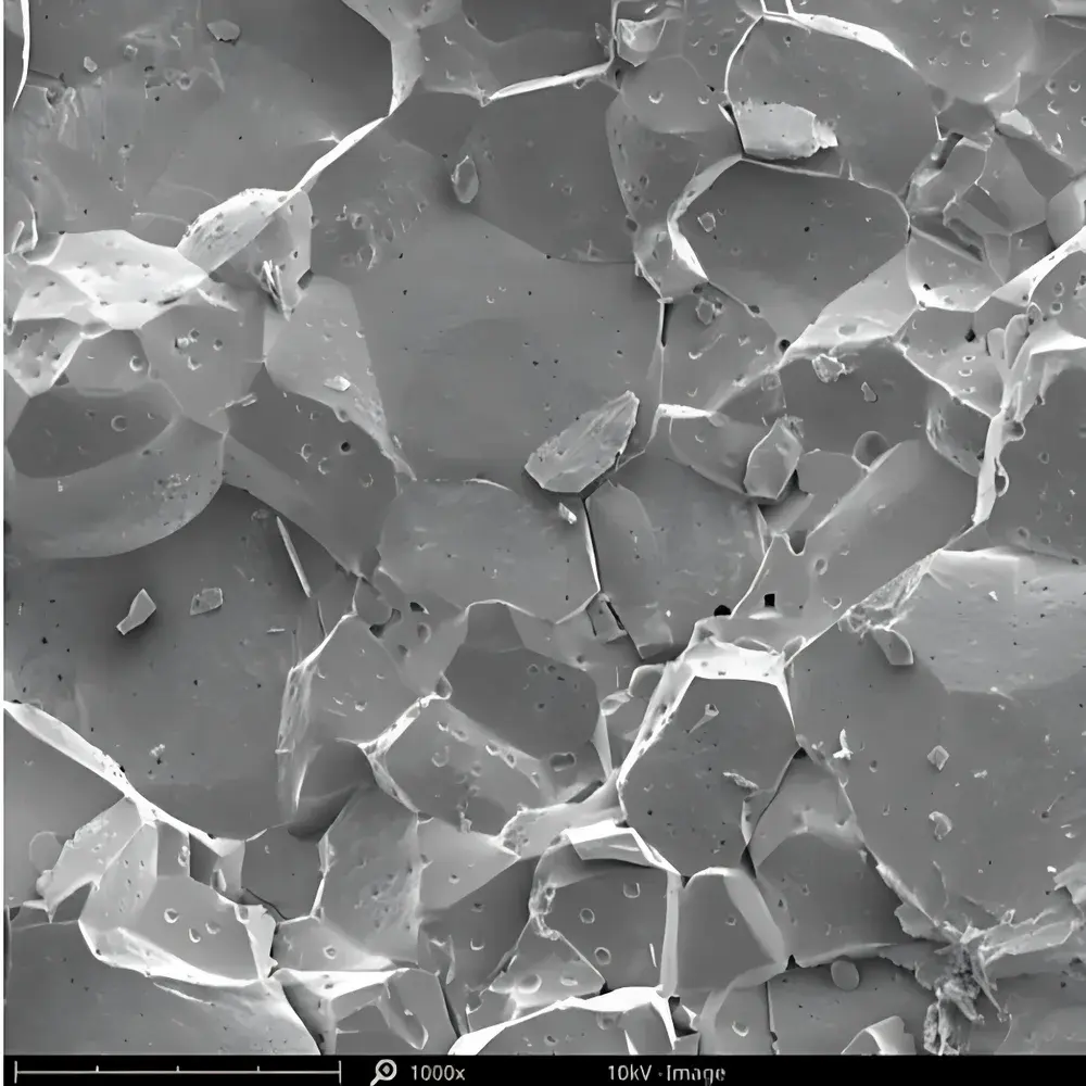 Phenom X-view Insert for Phenom Desktop Scanning Electron Microscope