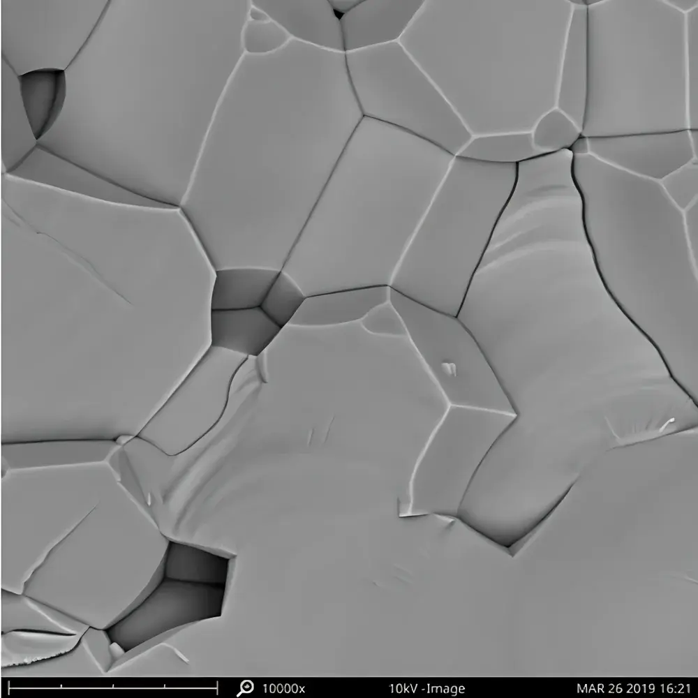 Phenom X-view Insert for Phenom Desktop Scanning Electron Microscope