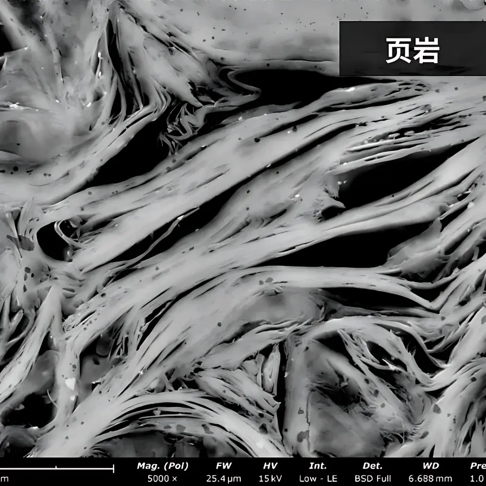 Phenom Pro_6 Desktop Scanning Electron Microscope for Petroleum & Coal Applications