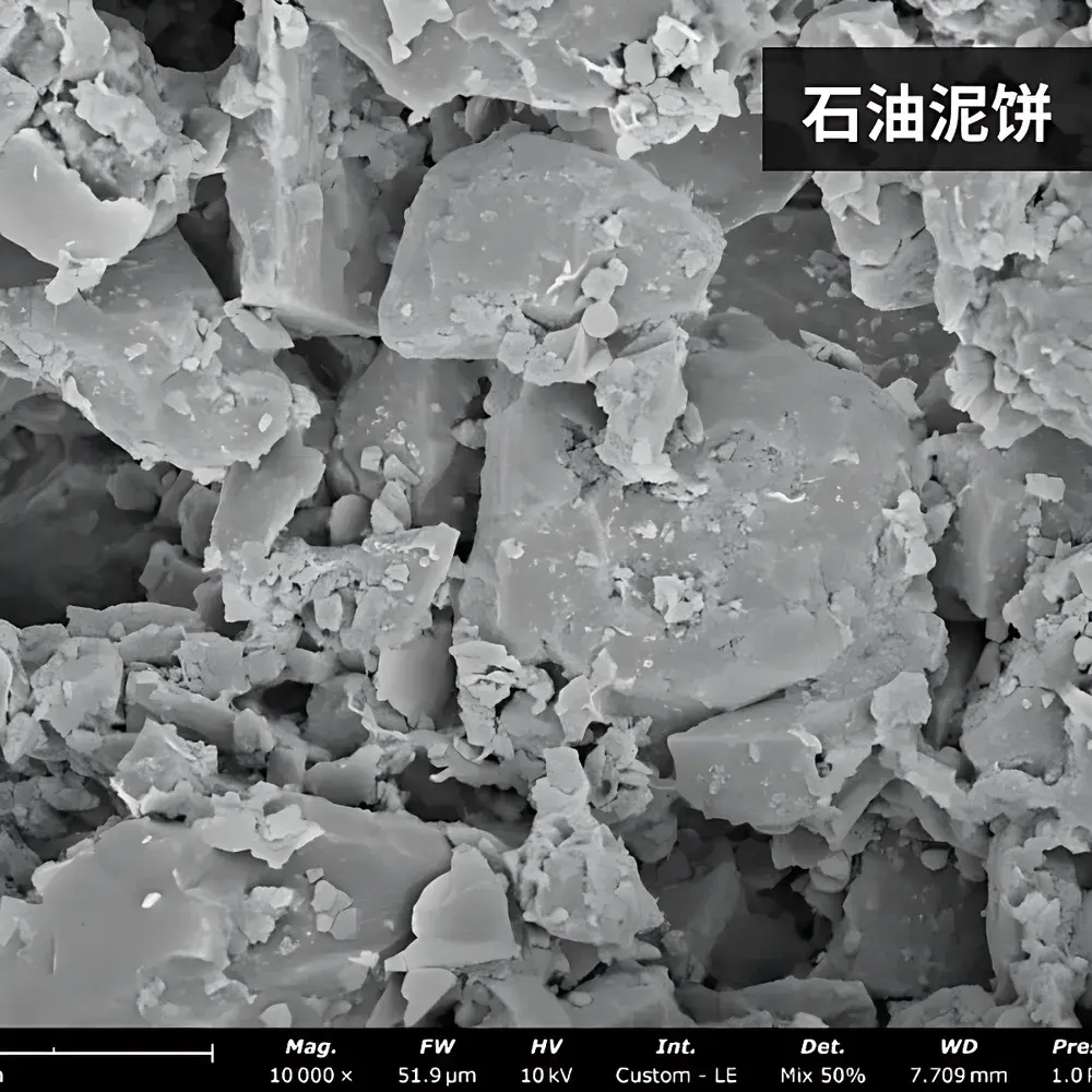 Phenom Pro_6 Desktop Scanning Electron Microscope for Petroleum & Coal Applications
